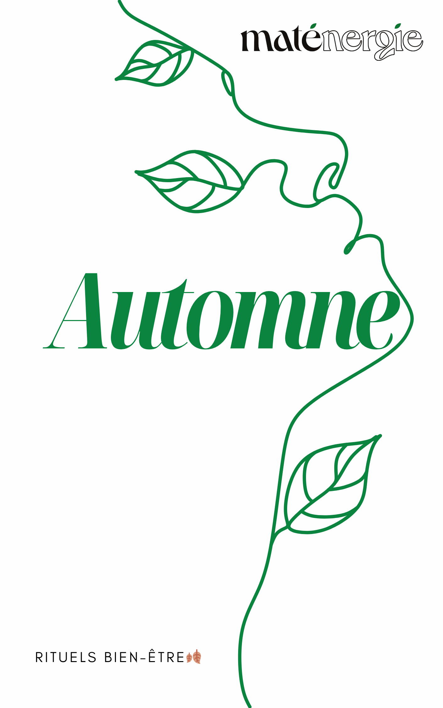 Kit Bien-être Automnal – 3 matés BIO + Livret (Édition saisonnière)