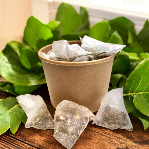 Infusettes Maté vert nature BIO・Les bienfaits du maté à emporter partout